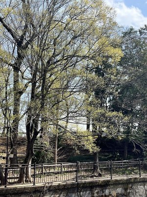 新川越しの城址