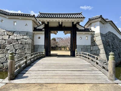 厩口門より桜咲く本丸跡の眺め