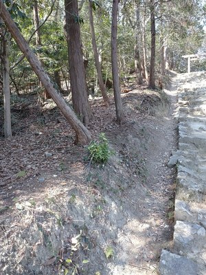 参道の段郭