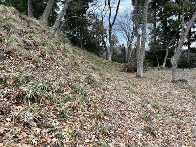 主廓土塁