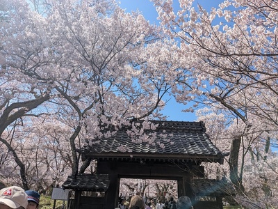問屋門