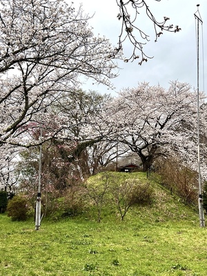 ニの廓