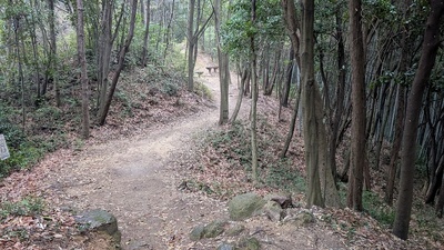 土橋