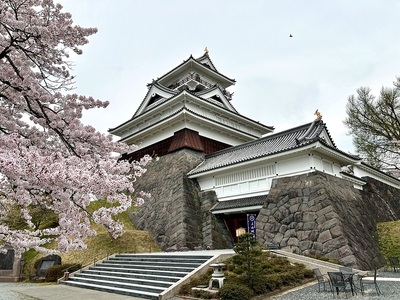 桜と模擬天守