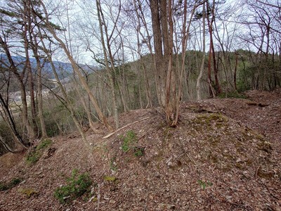 主郭東側の畝状竪堀群