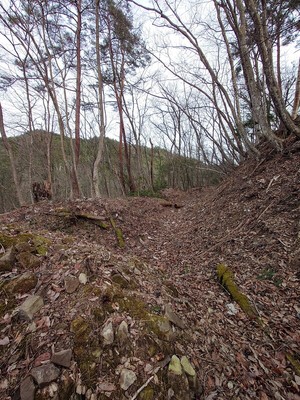 主郭東側の切岸と畝状竪堀群