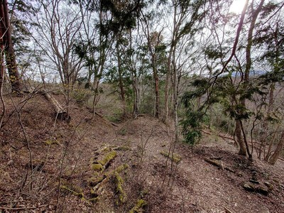 見下ろす主郭北東の畝状竪堀群