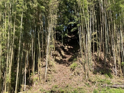 竪堀