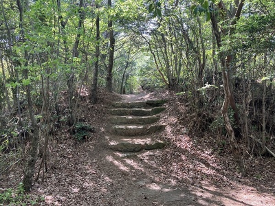 南城・石段