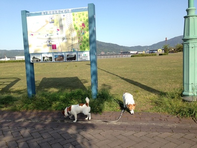 敦賀港の公園の駐車場