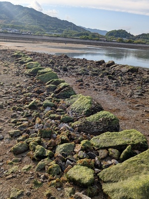 石列