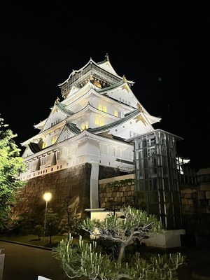 夜の天守