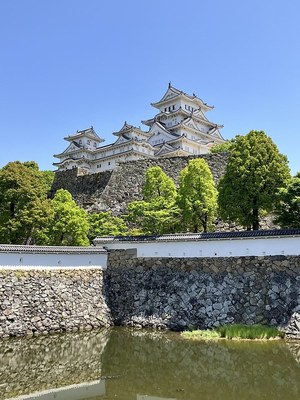 三国堀からの天守