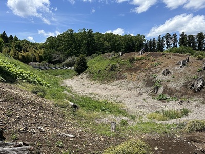 1郭南西辺の土塁と空堀