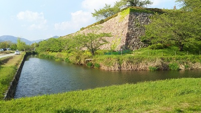 南西側から見た石垣と水堀