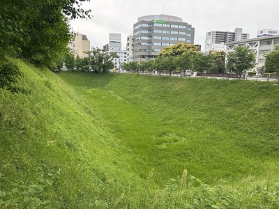 三の丸土塁と空堀