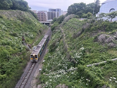 本丸と二の丸の間の大堀切