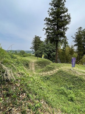 本郭から南二の郭と井戸郭を望む