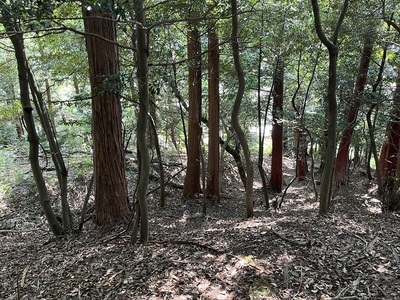 竪堀（多度神社側）