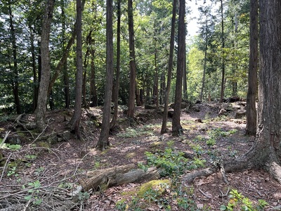 主郭土塁（石積み土塁）
