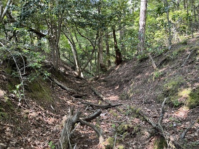 堀切（主郭から山側に2番目）