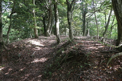 太閤ヶ平内郭南西の櫓台