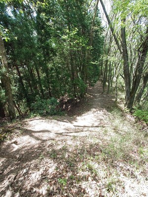Ⅱ郭西側の土橋と堀切