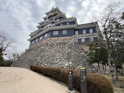 天守と石垣