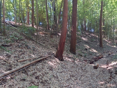 蔵屋敷を囲う土塁