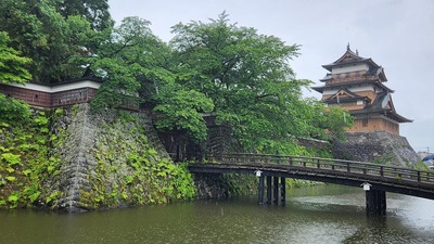 雨中天守