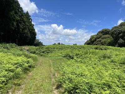南から見た二の曲輪仕切土塁