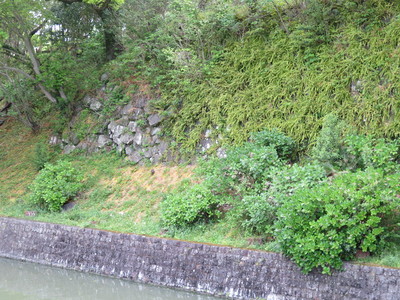 二ノ丸堀石垣（西側）