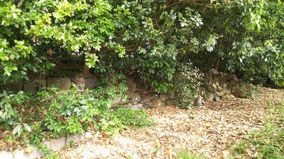 椹木口にある復元石垣