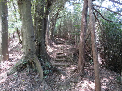 誓願寺側の登山道