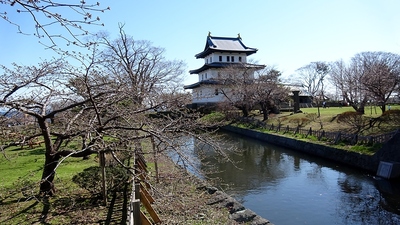 桜開花宣言した日の松前城