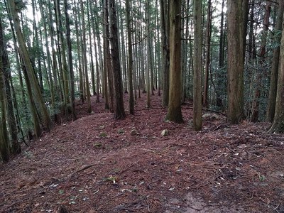 厩の壇から馬場方向