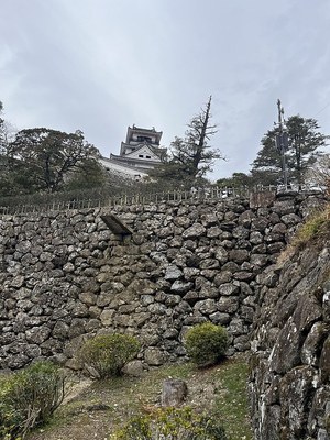 追手道から見た杉の段石垣の石樋
