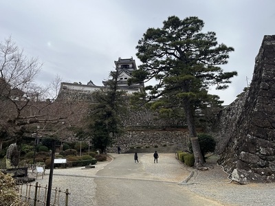 杉の段から見た天守