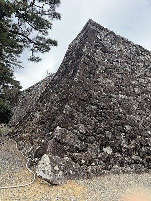 三の丸東面石垣の扇の勾配