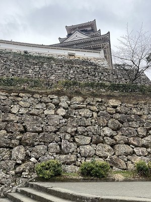 鉄門前から見た本丸石垣と天守
