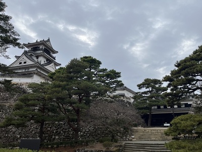 三の丸から見た天守と詰門
