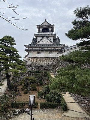 二の丸から見た天守