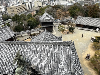 天守最上階から見た本丸御殿と黒金門