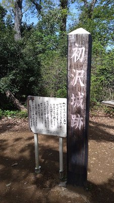 初沢城跡木柱