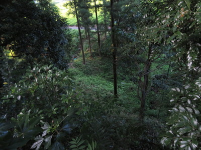 松尾山北側の空堀