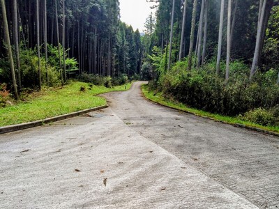 登城路