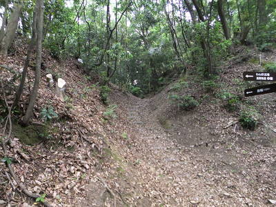 西側二つ目の南北方向の横堀