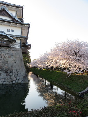 櫓とお堀に映った満開の桜