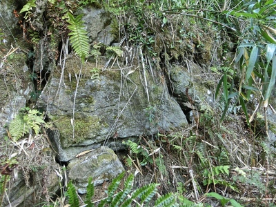 山の中腹あたりで見つけた石垣跡