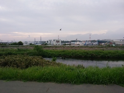 鶴見川(城を背に）